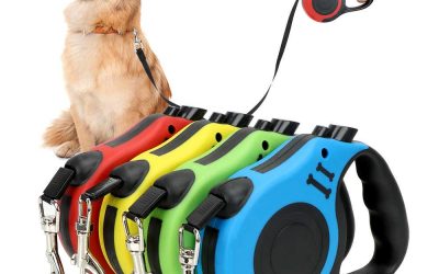 ✅ TOP 2021 ▷ Correa de Perro Retráctil