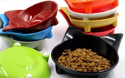 ✅ TOP 2021 ▷ Cuencos de alimentación para gatos
