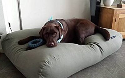 ✅ Las mejores Camas Para perros del 2025