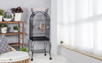 ✅ Las mejores Jaulas para pájaros con ruedas de 2025