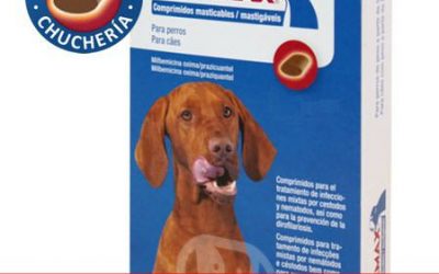 ✅ Los mejores productos para la salud de tu perro del 2025