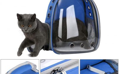 ✅ Las mejores Mochilas para mascotas de 2025
